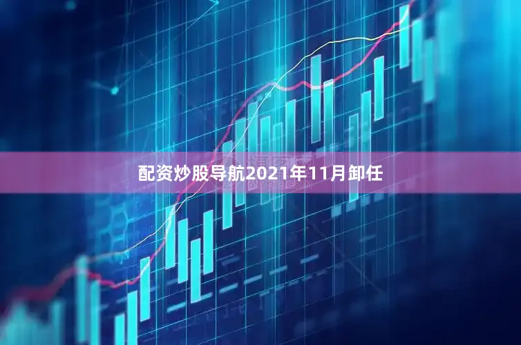配资炒股导航2021年11月卸任