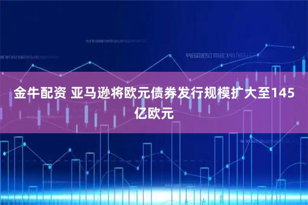 金牛配资 亚马逊将欧元债券发行规模扩大至145亿欧元