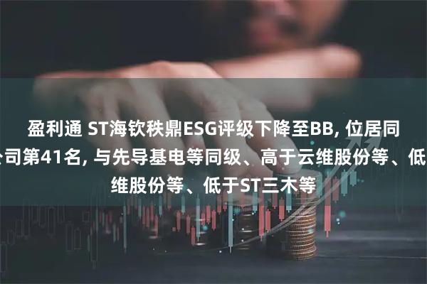 盈利通 ST海钦秩鼎ESG评级下降至BB, 位居同行业46家公司第41名, 与先导基电等同级、高于云维股份等、低于ST三木等